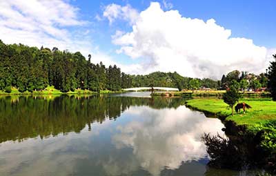 MIRIK