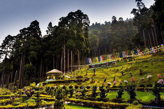 Embracing Darjeeling Beauty: 4 Days of Serenity